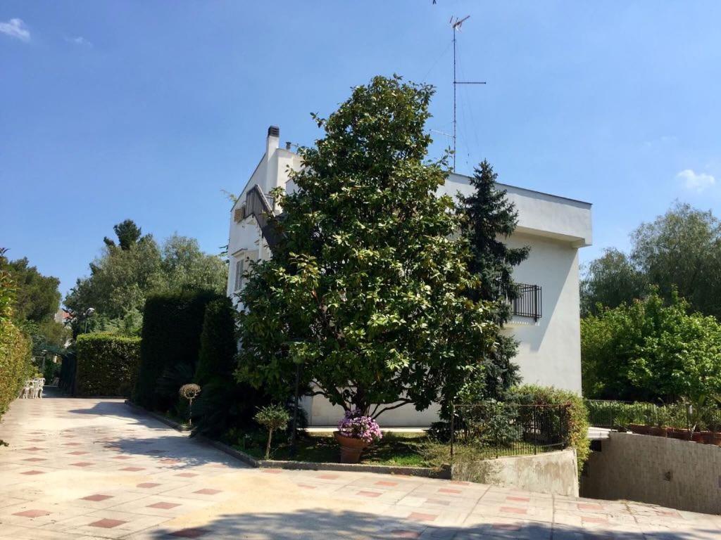 B&B Amendola Bari Exterior foto